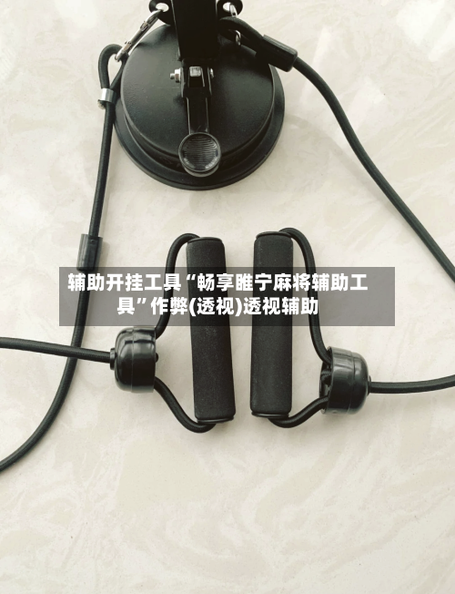 辅助开挂工具“畅享睢宁麻将辅助工具	”作弊(透视)透视辅助-第2张图片