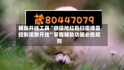 辅助开挂工具“微信抢红包扫雷埋雷控制尾数开挂	”掌握辅助功能必胜规则-第2张图片