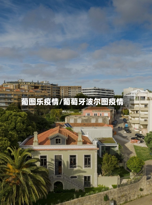 葡图乐疫情/葡萄牙波尔图疫情