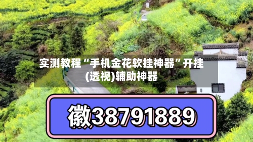 实测教程“手机金花软挂神器	”开挂(透视)辅助神器-第3张图片