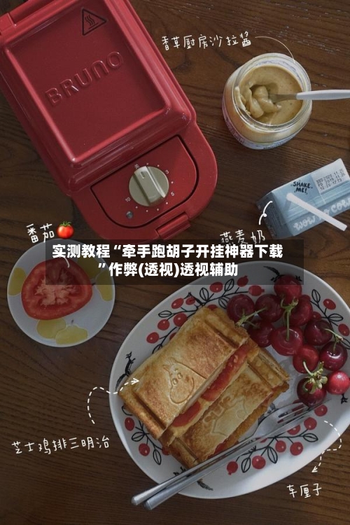 实测教程“牵手跑胡子开挂神器下载”作弊(透视)透视辅助-第3张图片