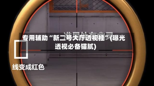 专用辅助“新二号大厅透视挂”(曝光透视必备猫腻)-第2张图片