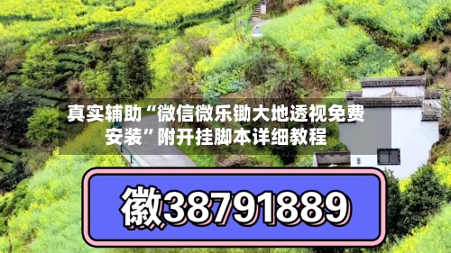 真实辅助“微信微乐锄大地透视免费安装	”附开挂脚本详细教程-第2张图片