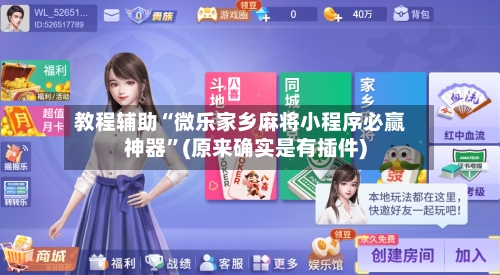 教程辅助“微乐家乡麻将小程序必赢神器”(原来确实是有插件)-第2张图片