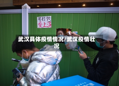 武汉具体疫情情况/武汉疫情壮况-第3张图片