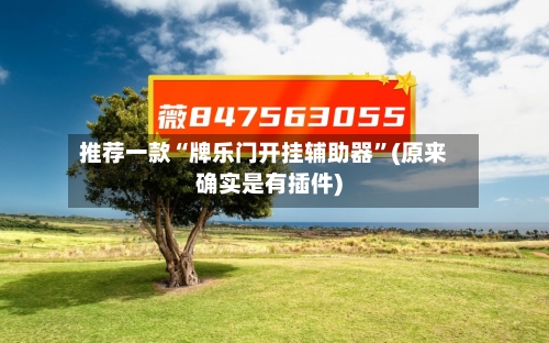 推荐一款“牌乐门开挂辅助器”(原来确实是有插件)-第3张图片