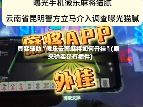 真实辅助“微乐云南麻将如何开挂”(原来确实是有插件)
