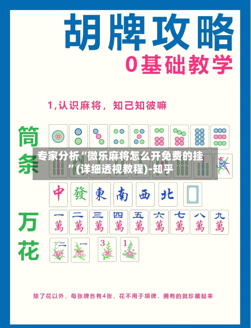 专家分析“微乐麻将怎么开免费的挂”(详细透视教程)-知乎