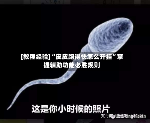 [教程经验]“皮皮跑得快怎么开挂	”掌握辅助功能必胜规则-第2张图片