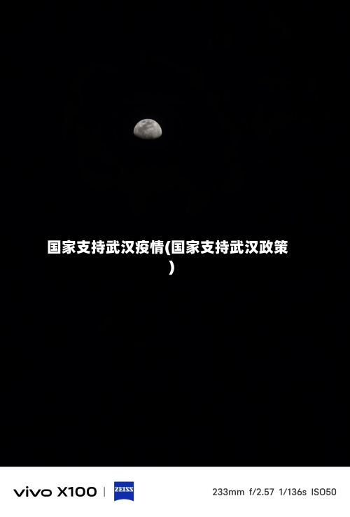 国家支持武汉疫情(国家支持武汉政策)