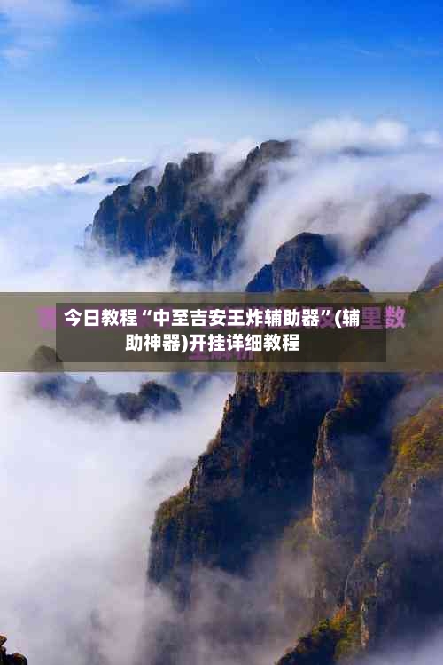 今日教程“中至吉安王炸辅助器”(辅助神器)开挂详细教程-第2张图片