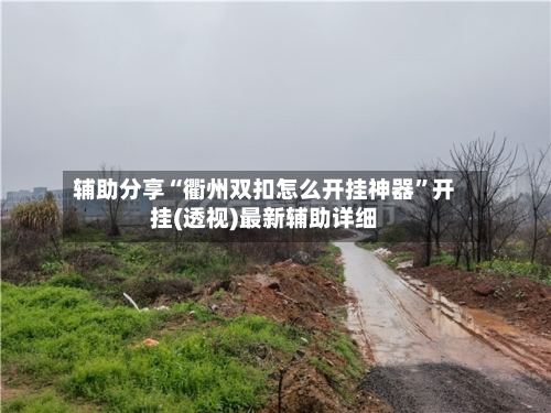 辅助分享“衢州双扣怎么开挂神器”开挂(透视)最新辅助详细-第3张图片