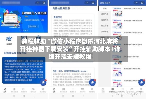 教程辅助“微信小程序微乐河北麻将开挂神器下载安装”开挂辅助脚本+详细开挂安装教程-第3张图片