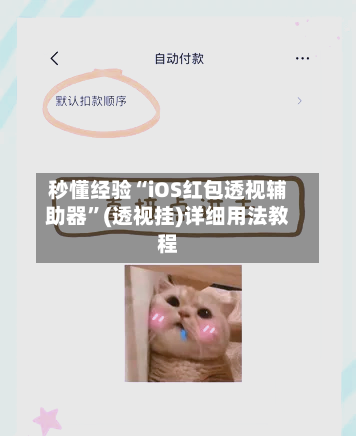 秒懂经验“iOS红包透视辅助器”(透视挂)详细用法教程-第3张图片