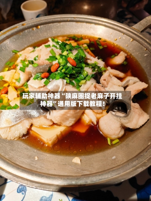 玩家辅助神器“陕麻圈捉老麻子开挂神器”通用版下载教程！-第2张图片