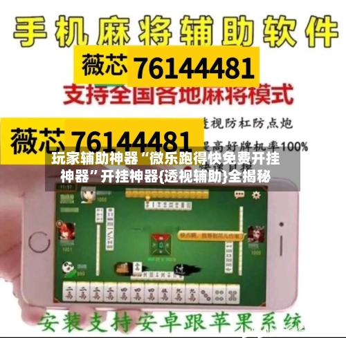 玩家辅助神器“微乐跑得快免费开挂神器”开挂神器{透视辅助}全揭秘-第3张图片