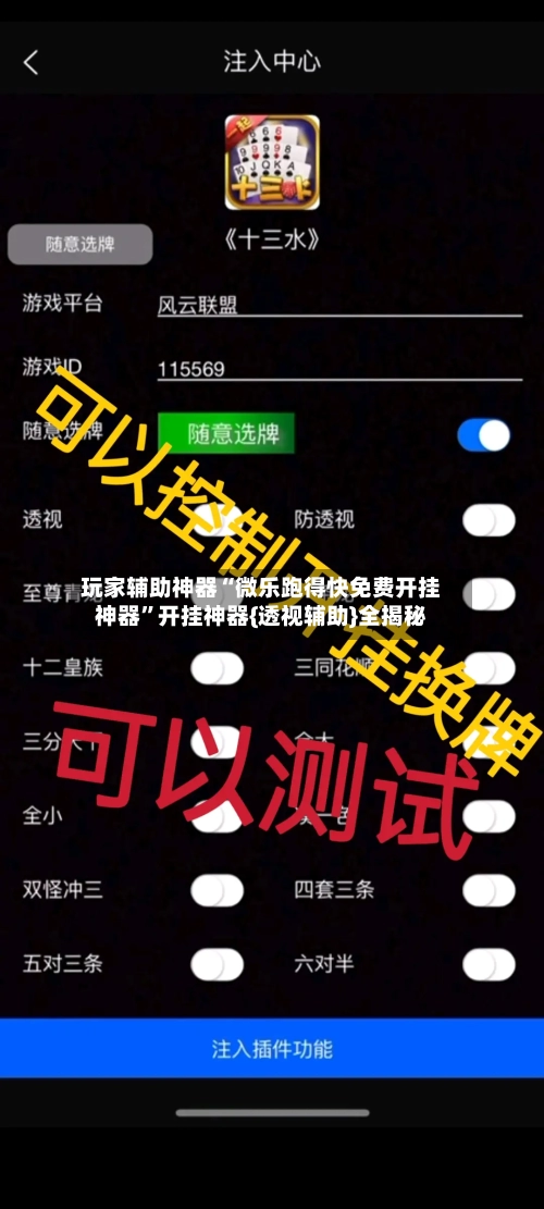 玩家辅助神器“微乐跑得快免费开挂神器	”开挂神器{透视辅助}全揭秘-第2张图片