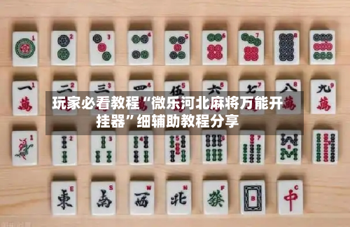 玩家必看教程“微乐河北麻将万能开挂器”细辅助教程分享-第2张图片