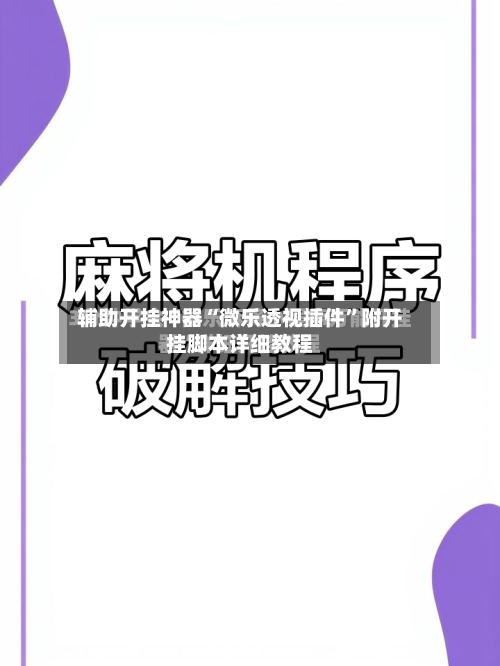 辅助开挂神器“微乐透视插件”附开挂脚本详细教程-第2张图片