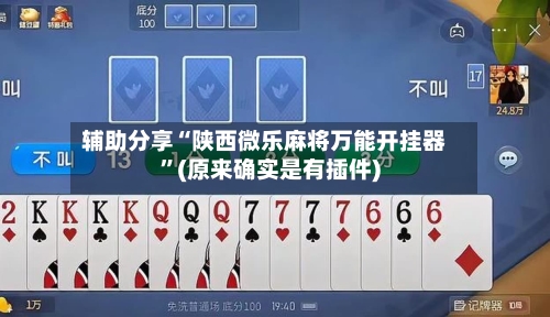 辅助分享“陕西微乐麻将万能开挂器”(原来确实是有插件)