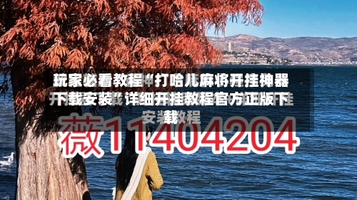玩家必看教程“打哈儿麻将开挂神器下载安装”详细开挂教程官方正版下载-第2张图片