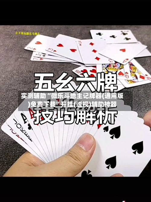 实测辅助“微乐斗地主记牌器(通用版)免费下载”开挂(透视)辅助神器-第2张图片