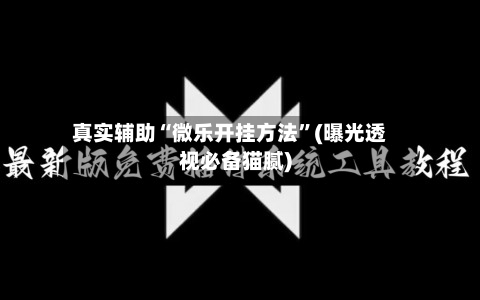 真实辅助“微乐开挂方法	”(曝光透视必备猫腻)-第2张图片