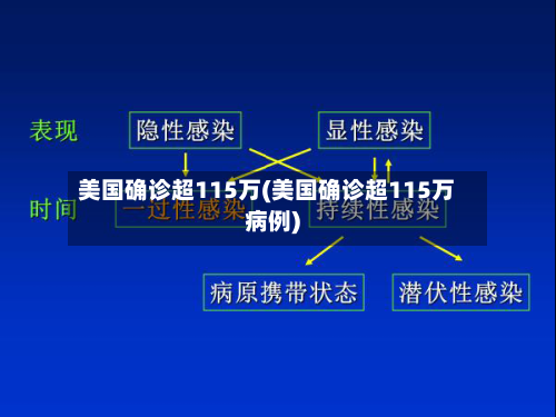 美国确诊超115万(美国确诊超115万病例)-第2张图片