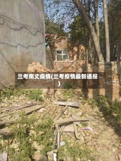 兰考南丈疫情(兰考疫情最新通报)-第2张图片