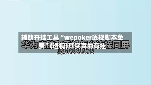 辅助开挂工具“wepoker透视脚本免费”(透视)其实真的有挂-第3张图片