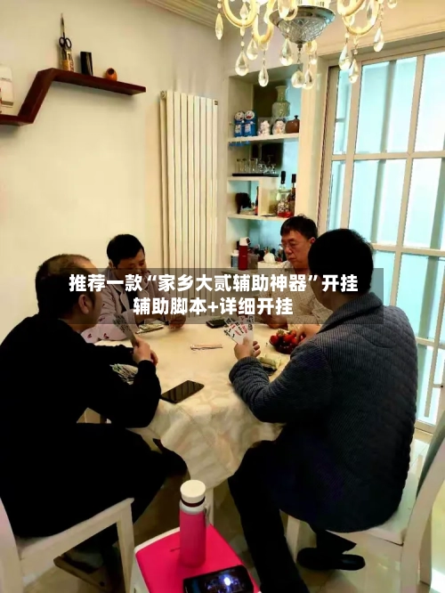 推荐一款“家乡大贰辅助神器”开挂辅助脚本+详细开挂