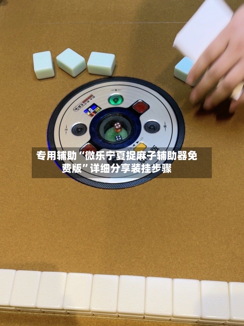 专用辅助“微乐宁夏捉麻子辅助器免费版”详细分享装挂步骤-第2张图片