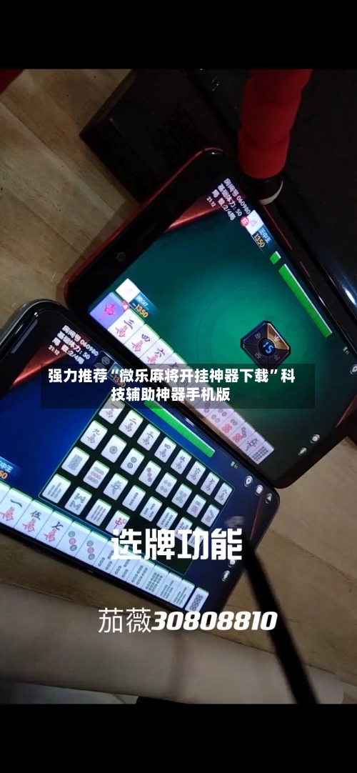 强力推荐“微乐麻将开挂神器下载	”科技辅助神器手机版-第2张图片
