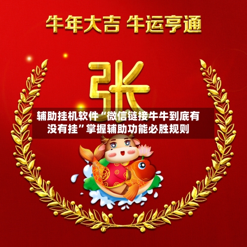 辅助挂机软件“微信链接牛牛到底有没有挂”掌握辅助功能必胜规则-第3张图片