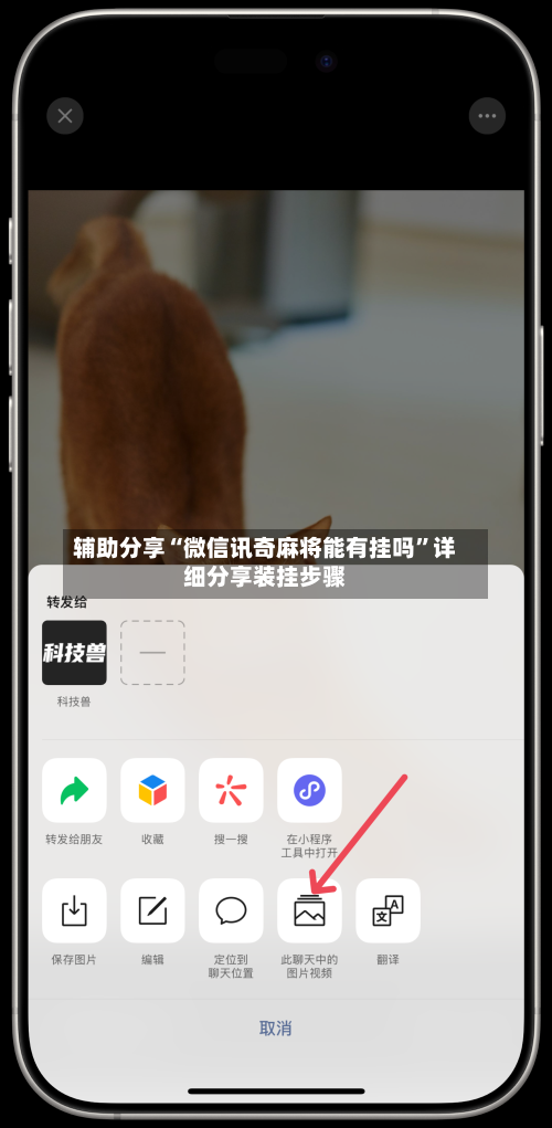 辅助分享“微信讯奇麻将能有挂吗”详细分享装挂步骤-第2张图片
