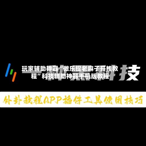 玩家辅助神器“微乐捉老麻子开挂教程”科技辅助神器手机版教程