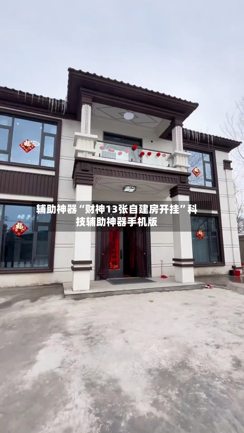 辅助神器“财神13张自建房开挂”科技辅助神器手机版-第2张图片