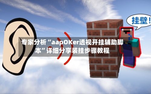 专家分析“aapOKer透视开挂辅助脚本”详细分享装挂步骤教程-第2张图片