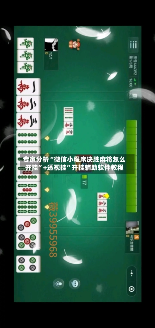 专家分析“微信小程序决胜麻将怎么开挂”+透视挂”开挂辅助软件教程-第3张图片