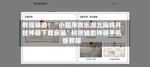 教程辅助！“小程序微乐湖北麻将开挂神器下载安装”科技辅助神器手机版教程-第3张图片