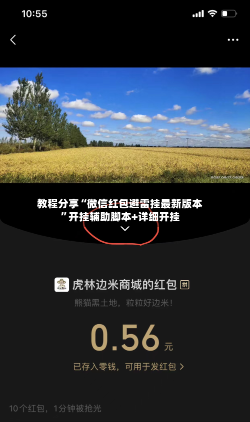 教程分享“微信红包避雷挂最新版本”开挂辅助脚本+详细开挂-第2张图片