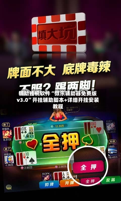 辅助挂机软件“微乐辅助器免费版v3.0”开挂辅助脚本+详细开挂安装教程-第2张图片