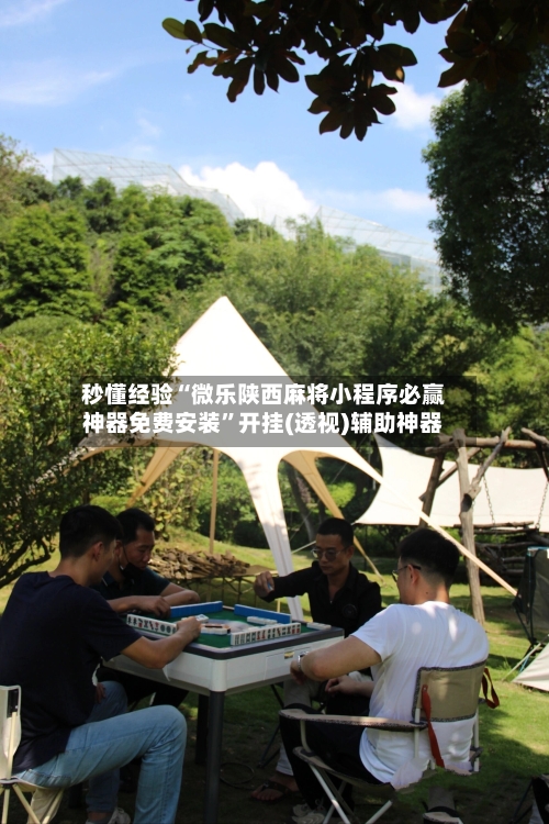 秒懂经验“微乐陕西麻将小程序必赢神器免费安装”开挂(透视)辅助神器-第3张图片