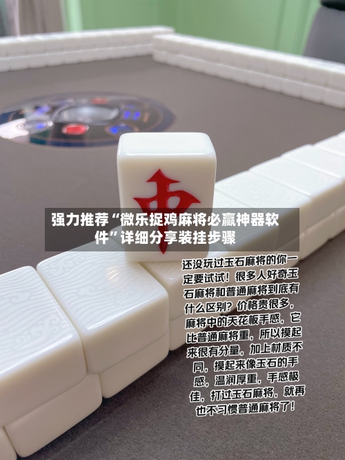 强力推荐“微乐捉鸡麻将必赢神器软件”详细分享装挂步骤-第3张图片