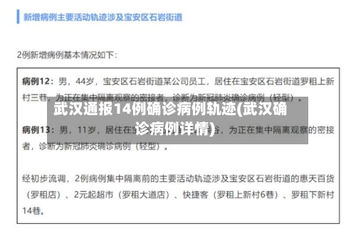 武汉通报14例确诊病例轨迹(武汉确诊病例详情)-第2张图片