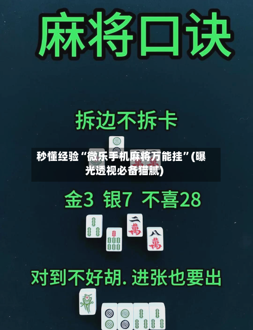 秒懂经验“微乐手机麻将万能挂”(曝光透视必备猫腻)-第2张图片