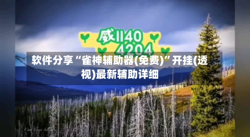 软件分享“雀神辅助器(免费)”开挂(透视)最新辅助详细