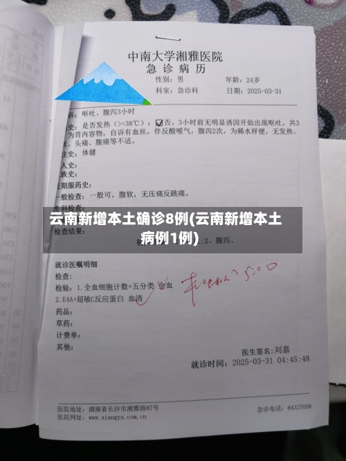 云南新增本土确诊8例(云南新增本土病例1例)-第2张图片