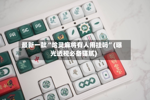 最新一款“哈灵麻将有人用挂吗”(曝光透视必备猫腻)