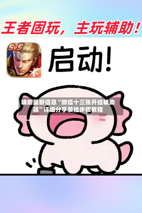 辅助最新信息“微信十三张开挂辅助器”详细分享装挂步骤教程-第2张图片